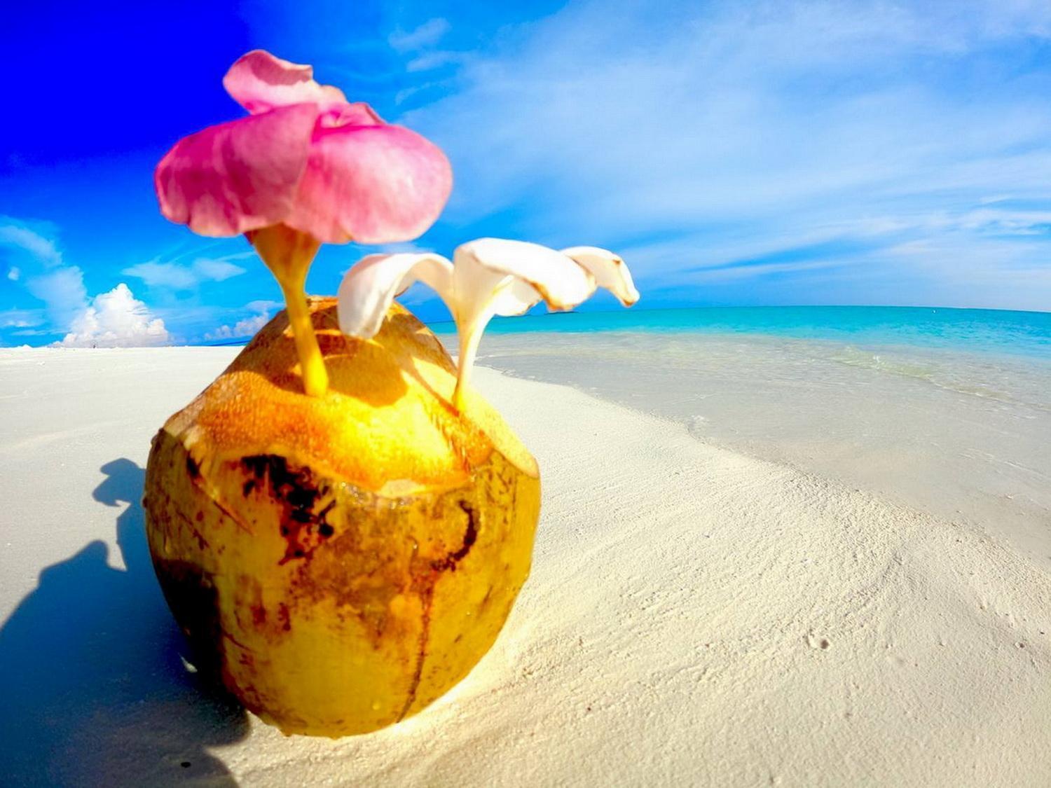 Wind Breeze Sunset View Inn Guraidhoo  Zewnętrze zdjęcie